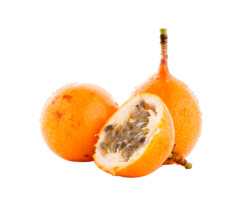 Granadilla