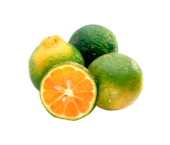 Limon-Amarillo