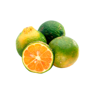 Wild lemon / Limón salvaje (Mandarino) 1KG