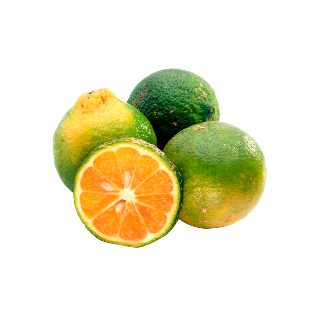 Wild lemon / Limón salvaje (Mandarino) 1KG