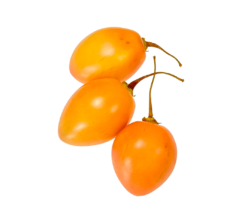 Tomate-de-arbol-amarillo