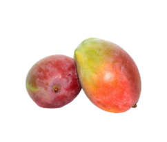 envato-labs-image-edit (10)