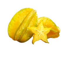 envato-labs-image-edit (10)