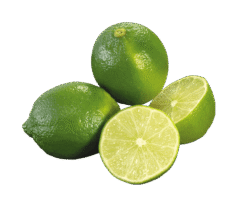 limon-comun